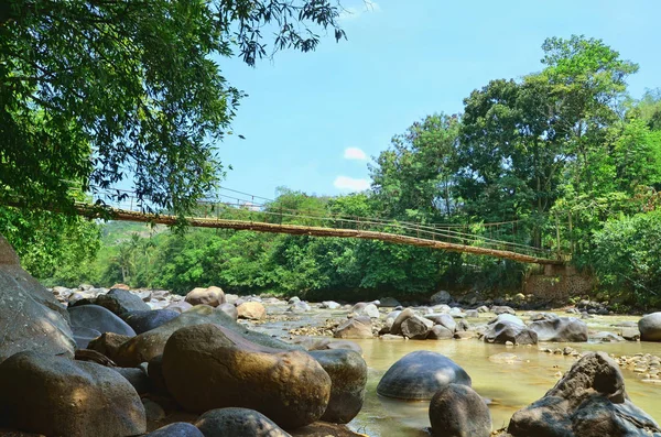 Ormanın ortasında eski asma köprü