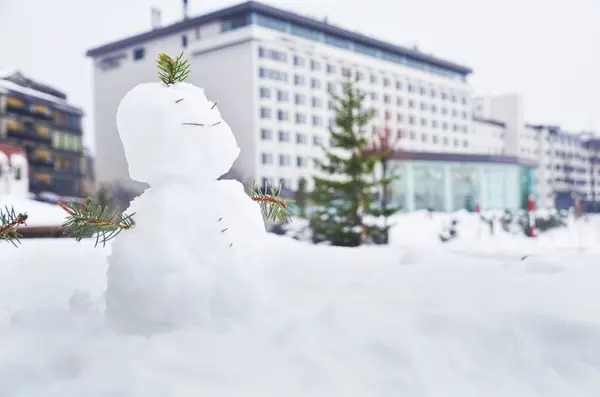 Sevimli küçük kardan adam