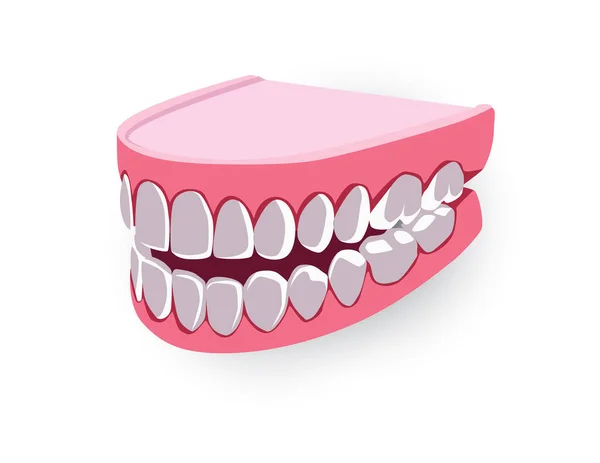 Zahnthema mit Zähnen Modell Illustration — Stockvektor
