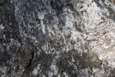 Doğal taş doku ve sorunsuz arka plan