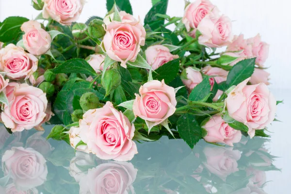 Rosas rosadas coloridas —  Fotos de Stock