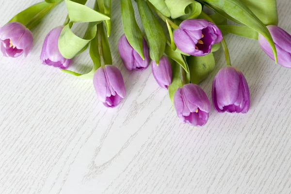 Bahar çiçeği laleler