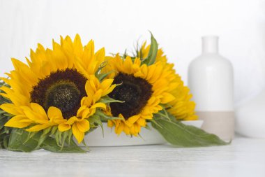 Beyaz arka planda güzel bir ayçiçeği