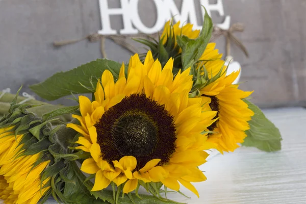 Schöne Sonnenblume auf weißem Hintergrund — Stockfoto