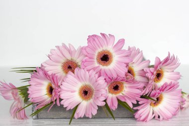 Beyaz arkaplanda pembe çiçekler