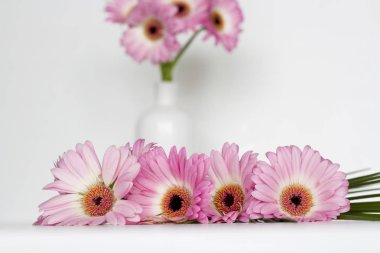 Beyaz arkaplanda pembe çiçekler