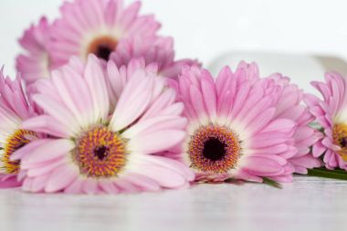 Beyaz arkaplanda pembe çiçekler