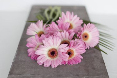 Beyaz arkaplanda pembe çiçekler