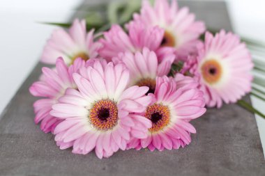 Beyaz arkaplanda pembe çiçekler