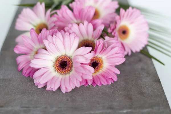 Beyaz arkaplanda pembe çiçekler