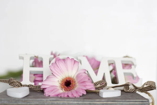 Beyaz arkaplanda pembe çiçekler