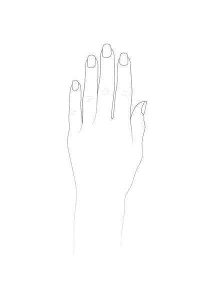 Plantilla de mano para diseño de henna y práctica de arte de uñas. Ilustración vectorial — Vector de stock