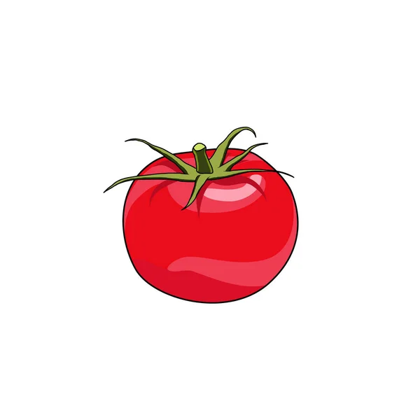 Warzywa z farmy pomidorów. Zdrowe surowe wegetariańskie jedzenie. Ilustracja izolowanego wektora — Wektor stockowy