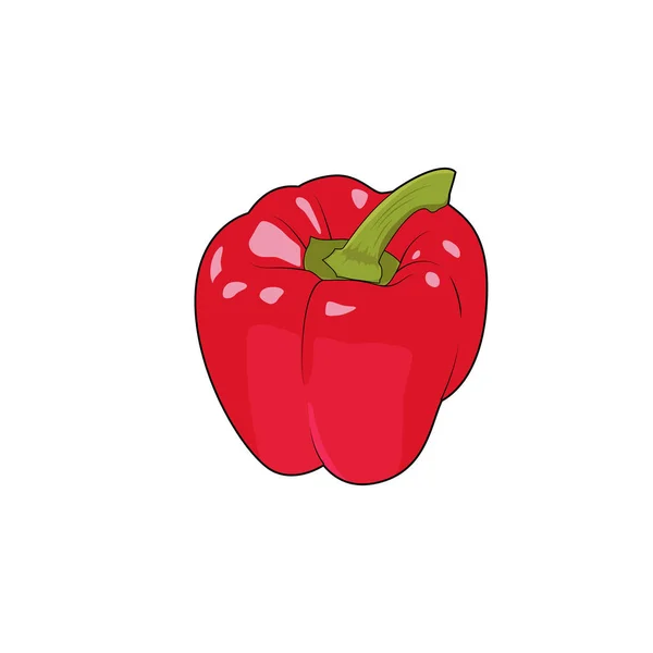 Bell pepper paprika farm vegetable. Healthy raw vegetarian vegan food. Isolated vector illustration — Stock Vector