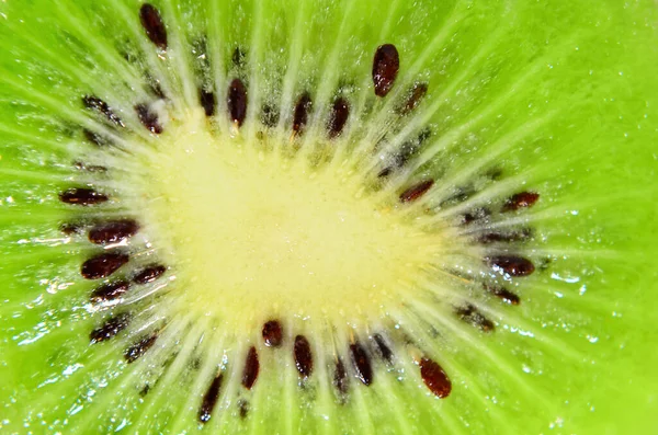 Fresh juicy fruit slice closeup. Slice of kiwi fruit on a full frame