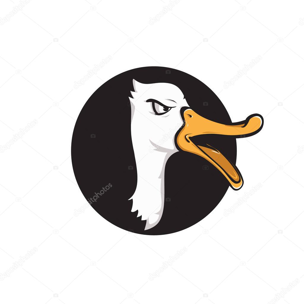 Vector head duck with black background