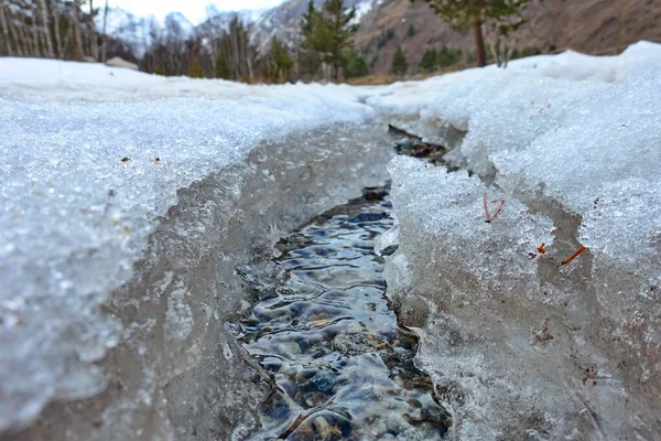 Azau şelalesi. Elbrus bölgesi. Ekolojik bir iz. Mart 2020