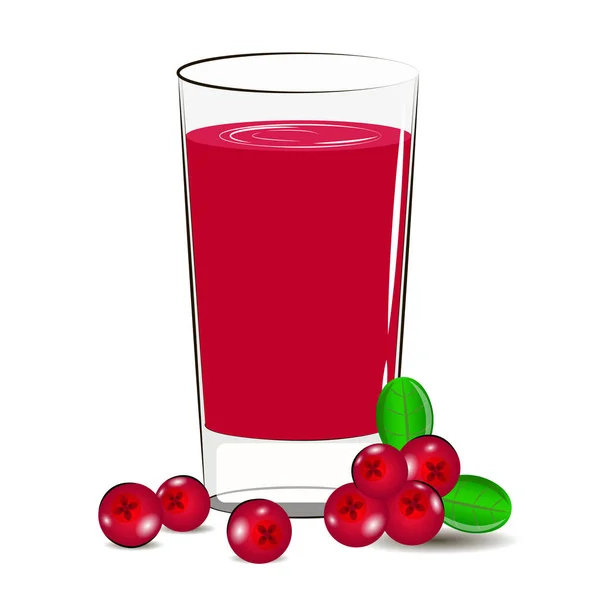 Vectorillustratie van verse cranberry sap — Stockvector