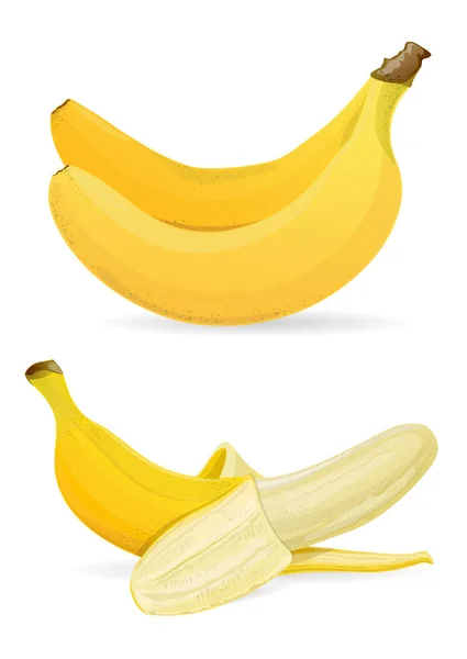 Plátanos aislados sobre fondo blanco . — Vector de stock