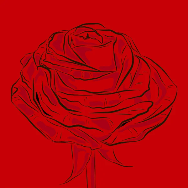 Kwitnący kwiat Red Rose konspektu. — Wektor stockowy