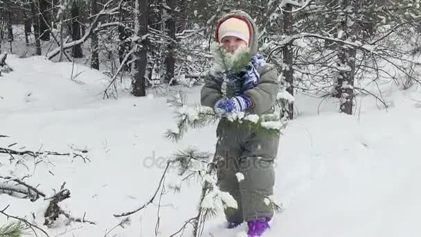 Hra dítě v zimě lese. — Stock video