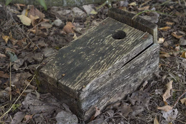 Ancienne cabane à oiseaux en bois posée sur le sol dans les bois . — Photo