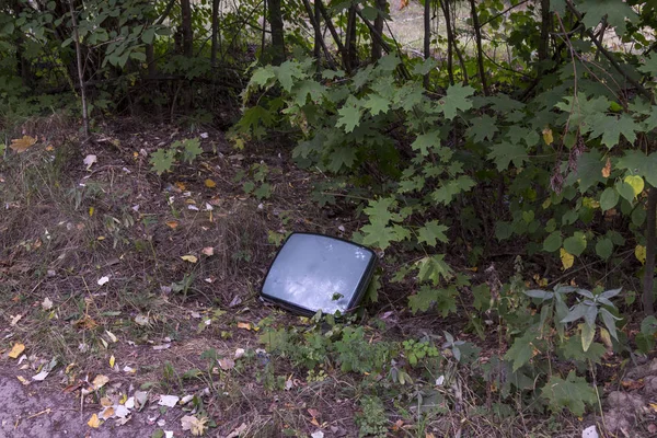 Kasserad TV-apparat i skogen — Stockfoto