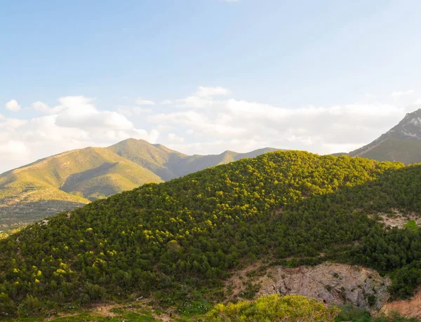 Tunus bir dağ