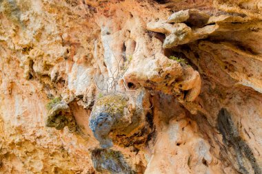 Dağlarda bir mağara