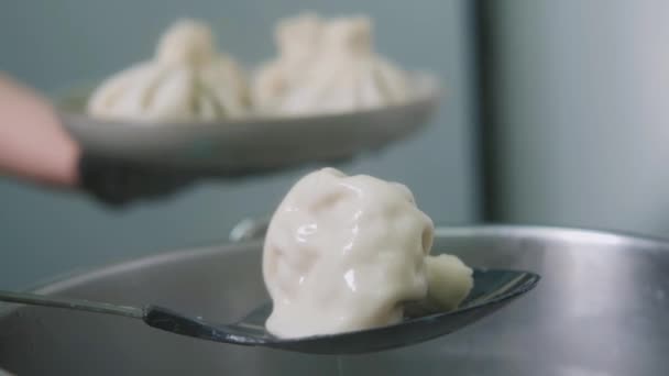 Georgian cuisine. Khinkali or dumplings are boiling in boiled water on the stove in a saucepan. Cooking process. — 비디오