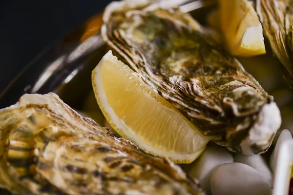 Чаша вкусных свежих моллюсков с чесноком и базиликом и соусом . — стоковое фото