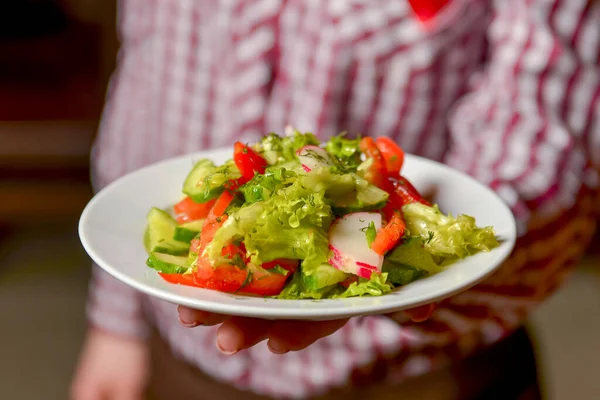 Garçom servindo salada de legumes com tomates suculentos, alface, rabanete, pepino. Serviço de restaurante . — Fotografia de Stock