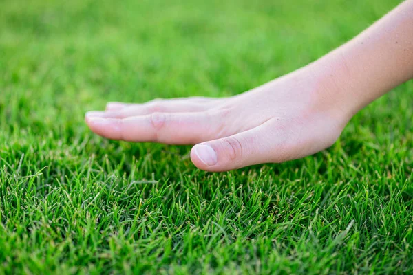 Güzel yeşil çimenler. Çocuğun eli çimenlere değiyor. Doğaya geri dön, sevgi toprağı. Çevre kavramı.