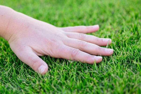 Schönes grünes Gras. Die Hand des Kindes berührt das Gras. Zurück zur Natur, liebe Erde. Umweltkonzept. — Stockfoto