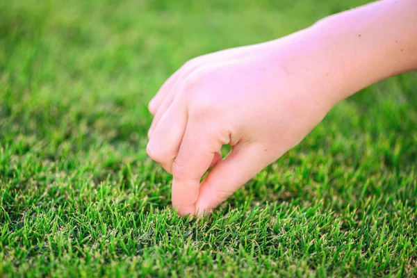 Schönes grünes Gras. Die Hand des Kindes berührt das Gras. Zurück zur Natur, liebe Erde. Umweltkonzept. — Stockfoto