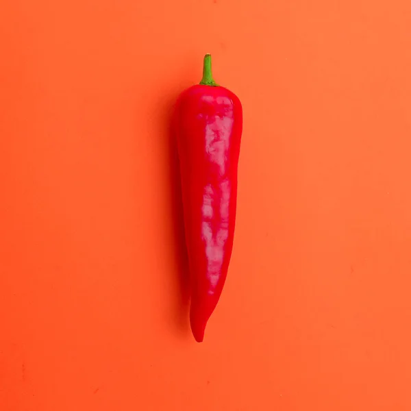 Flat lay view of hot red chili peppers. Food background. Copy space. Bright red orange background. Design banner. — Stock Photo, Image