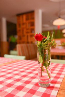 Rose, masanın üstündeki bir bardağa yerleştirilmiş kırmızı ekose masa örtüsüyle birlikte. Bulanık arkaplan.