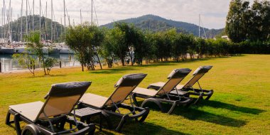 Yeşil parkta, güneşin altında şezlong. Seyahat, seyahat konsepti. Boş uzun sandalyeler. İnsan yok. Otel işleri..