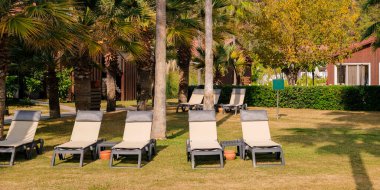 Yeşil parkta, güneşin altında şezlong. Seyahat, seyahat konsepti. Boş uzun sandalyeler. İnsan yok. Otel işleri..