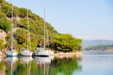 Şatafatlı yatlar gün batımında limana yanaştı. Limandaki büyük yatların göz kamaştırıcı manzarası. Dağların arkaplanı.