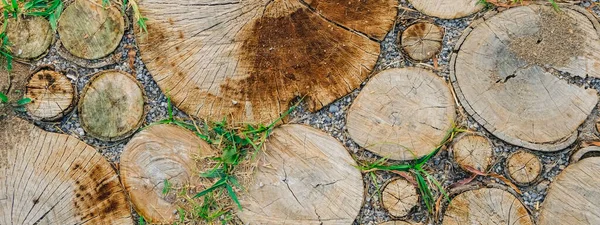 Fondo di tronchi di legno tagliati a secco. Sfondo ceppi. Legno. Sfondo verde erba. Copia banner spazio — Foto Stock