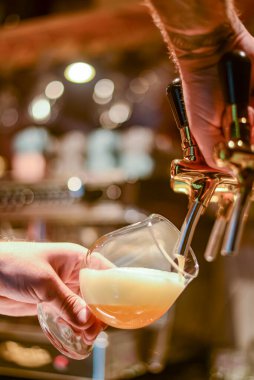 Bira musluğunda barmen bir restoranda ya da barda servis edilen bardağa bira dolduruyor..