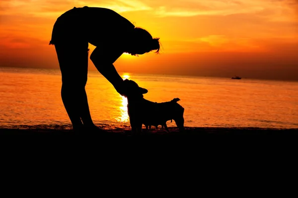 Silhouette women with her dog on the beach sunset time — Stock Photo, Image