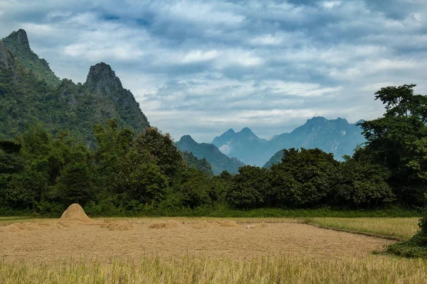 Vang Vieng County Field View — 스톡 사진