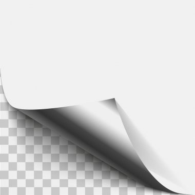 Gümüş sayfa köşe kabuğu. Gümüş sayfa kıvrılmış katlanmış gölge ile. Katlanmış yapışkan kağıt Not boş levha. Reklam ve promosyon mesaj üzerinde beyaz backgr izole için vektör çizim etiket soyma