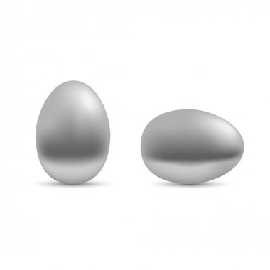 Gerçekçi gümüş yumurta. vektör