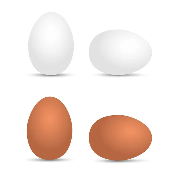 Realistiska vita och bruna ägg. Vektorillustration — Stock vektor