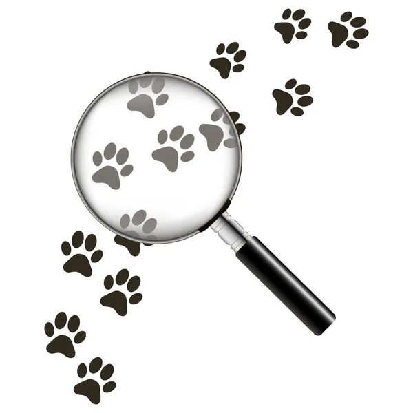 Impronte di animali neri con lente di ingrandimento sullo sfondo bianco. Illustrazione vettoriale — Vettoriale Stock