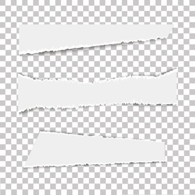 Saydam arka plan üzerinde çeşitli beyaz yırtık Not belgeler kümesi. Vektör çizim