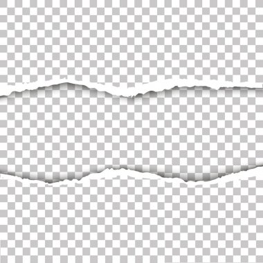 Vektör çizim şeffaf arka plan ile yırtık kağıt. Kağıt sökük vektör